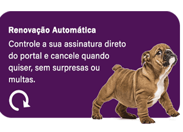 4dsae